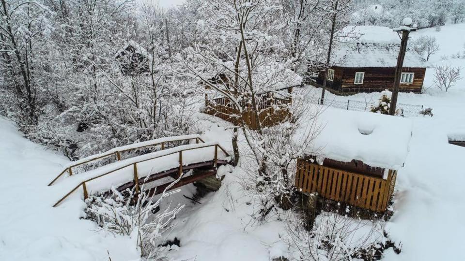 Săcel Lacrima Izei 빌라 외부 사진