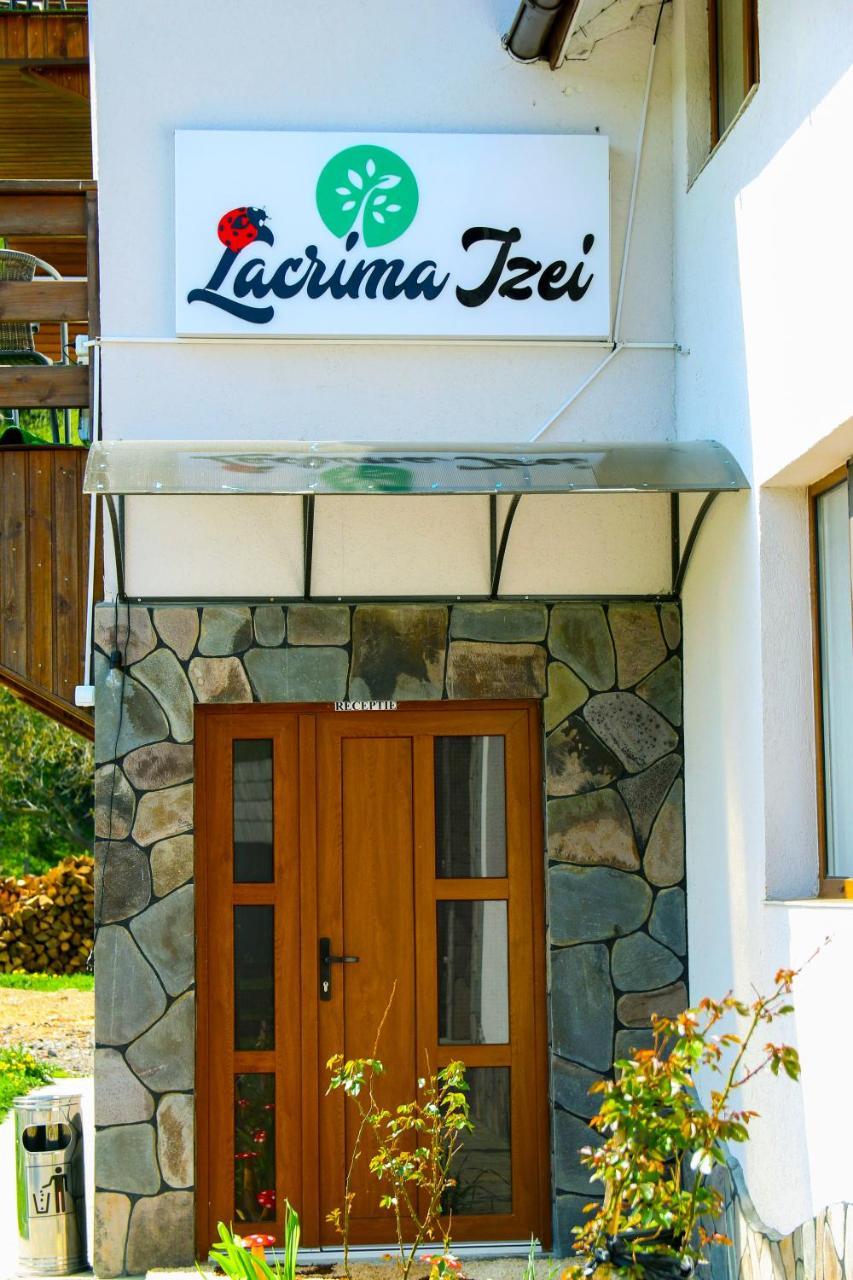 Săcel Lacrima Izei 빌라 외부 사진